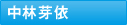 中林芽依
