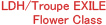 LDH/Troupe EXILE Flower Class